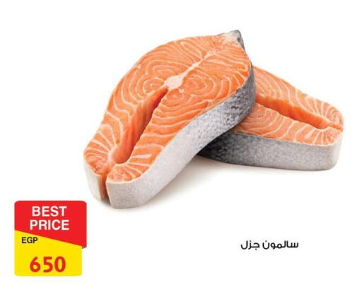 available at فتح الله in Egypt - القاهرة