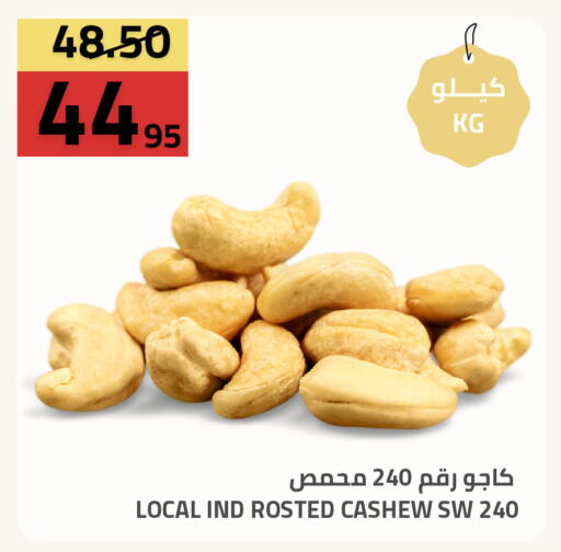 available at أسواق أسترا in مملكة العربية السعودية, السعودية, سعودية - تبوك