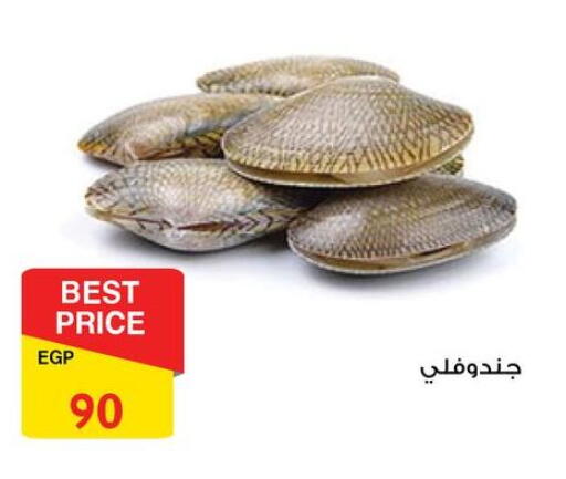 available at فتح الله in Egypt - القاهرة