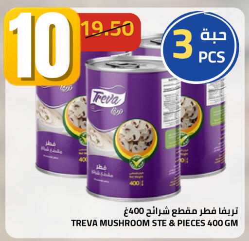 Mushroom available at أسواق أسترا in مملكة العربية السعودية, السعودية, سعودية - تبوك