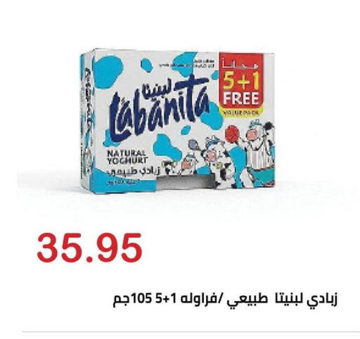 available at El-Hawary Market in Egypt - Cairo