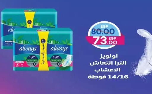 available at Galhom Market in Egypt - Cairo
