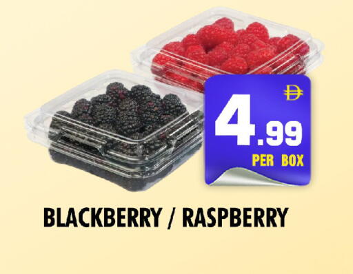 Blackberry Raspberry available at نايت تو نايت in الإمارات العربية المتحدة , الامارات - دبي