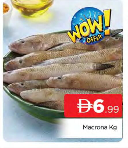 available at AL MADINA (Dubai) in UAE - Dubai