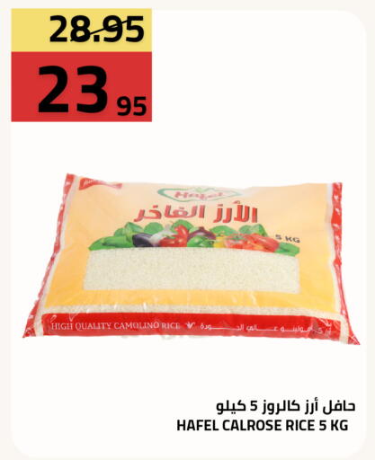 available at أسواق أسترا in مملكة العربية السعودية, السعودية, سعودية - تبوك