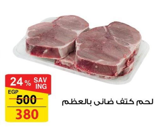 available at فتح الله in Egypt - القاهرة