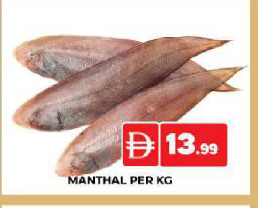 available at AL MADINA (Dubai) in UAE - Dubai