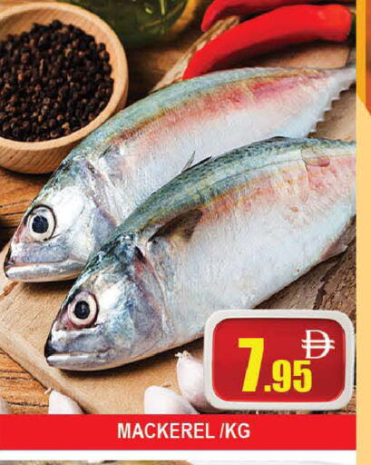 available at AL MADINA (Dubai) in UAE - Dubai