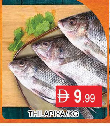 available at AL MADINA (Dubai) in UAE - Dubai