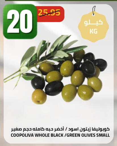 available at أسواق أسترا in مملكة العربية السعودية, السعودية, سعودية - تبوك
