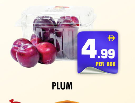 Plum available at نايت تو نايت in الإمارات العربية المتحدة , الامارات - دبي