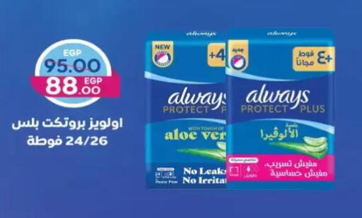 available at Galhom Market in Egypt - Cairo