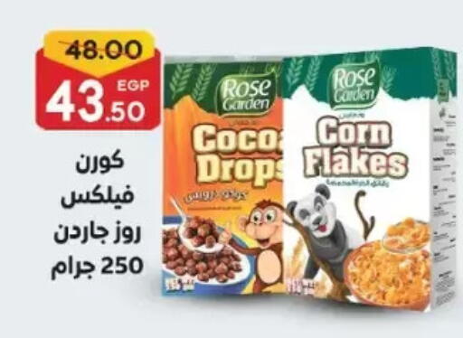 available at Galhom Market in Egypt - Cairo
