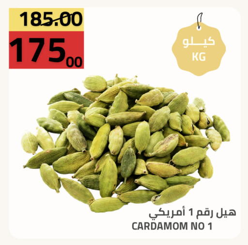 Cardamom available at أسواق أسترا in مملكة العربية السعودية, السعودية, سعودية - تبوك