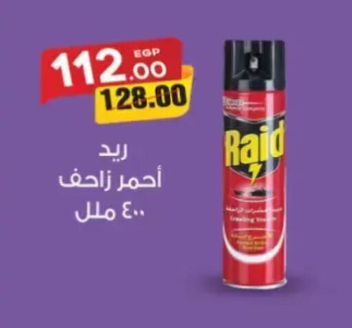 available at Galhom Market in Egypt - Cairo