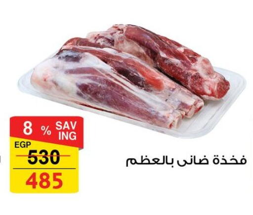 available at فتح الله in Egypt - القاهرة