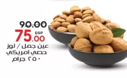 available at Galhom Market in Egypt - Cairo
