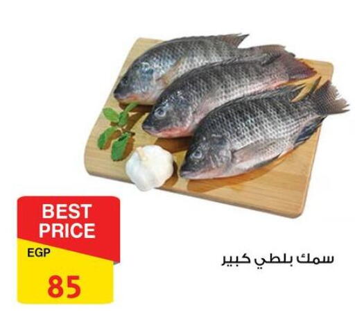 available at فتح الله in Egypt - القاهرة