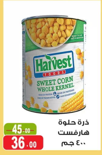 available at Ghoneim Market   in Egypt - Cairo