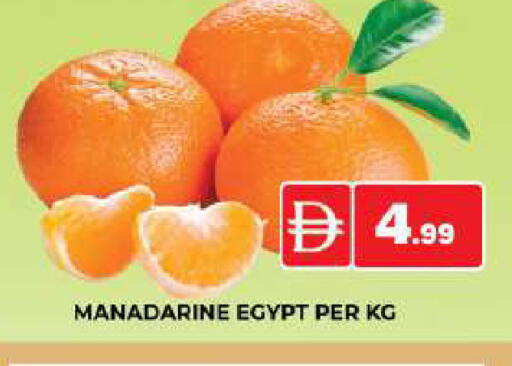 from Egypt available at AL MADINA (Dubai) in UAE - Dubai