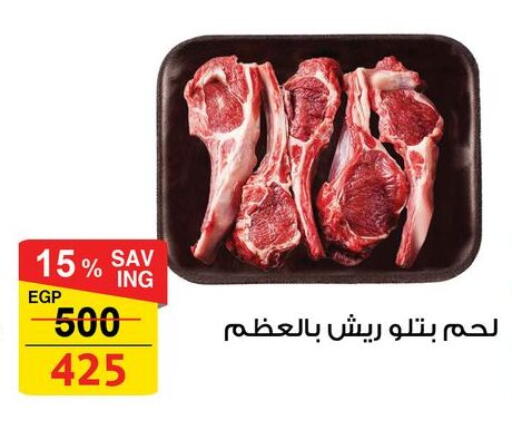 available at فتح الله in Egypt - القاهرة