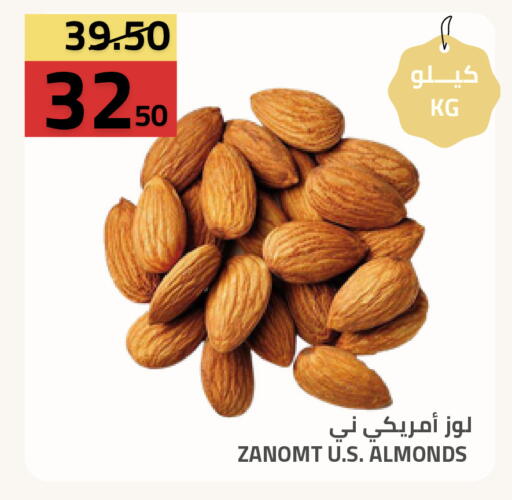 available at أسواق أسترا in مملكة العربية السعودية, السعودية, سعودية - تبوك