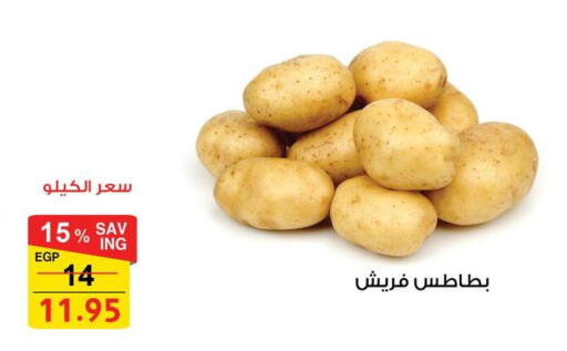 available at فتح الله in Egypt - القاهرة