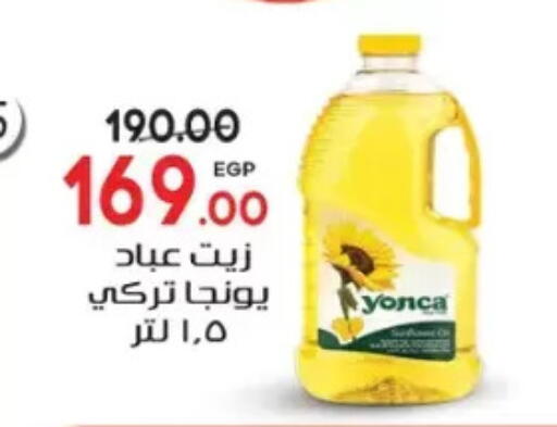 available at Galhom Market in Egypt - Cairo