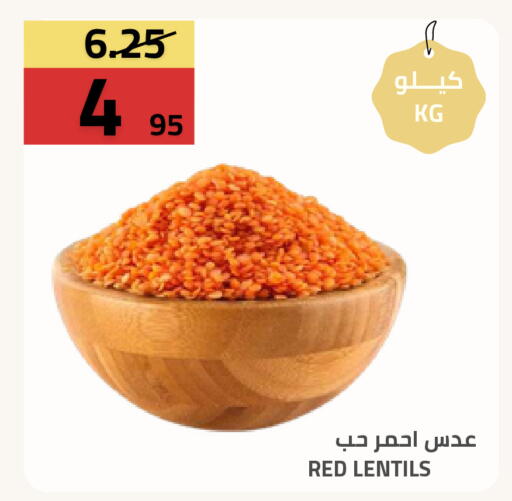 available at أسواق أسترا in مملكة العربية السعودية, السعودية, سعودية - تبوك