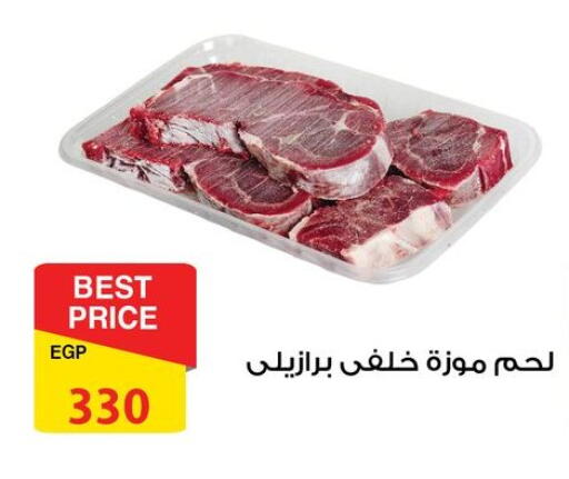 available at فتح الله in Egypt - القاهرة