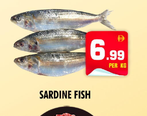 available at نايت تو نايت in الإمارات العربية المتحدة , الامارات - دبي