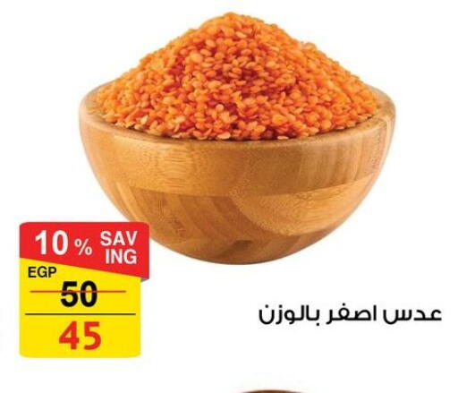 available at فتح الله in Egypt - القاهرة