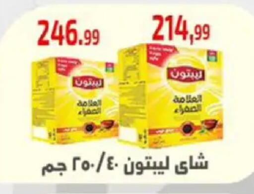 available at مؤسسة ايهاب البرنس in Egypt - القاهرة