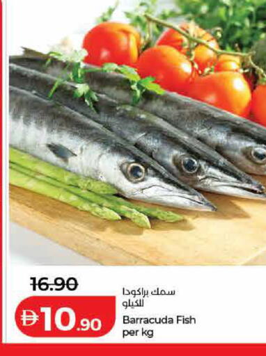 available at لولو هايبرماركت in الإمارات العربية المتحدة , الامارات - رَأْس ٱلْخَيْمَة