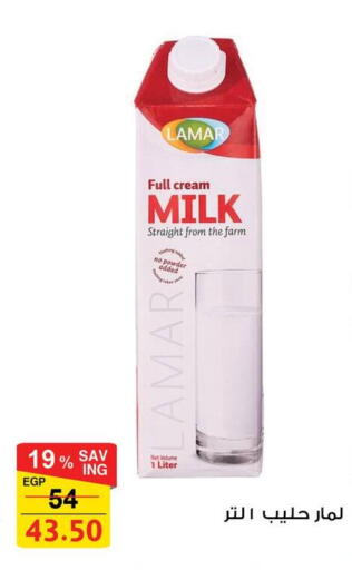 available at فتح الله in Egypt - القاهرة