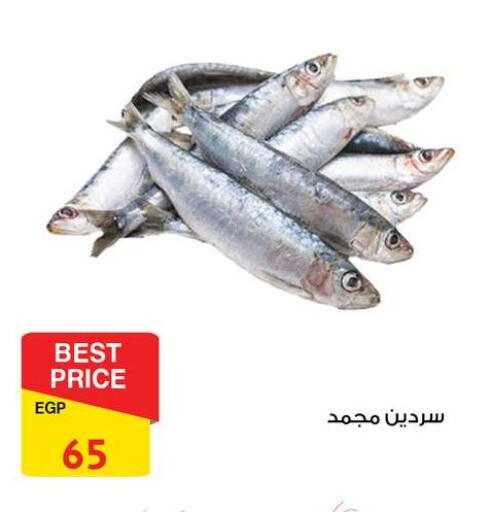 available at فتح الله in Egypt - القاهرة