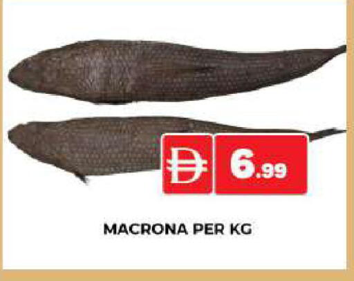 available at AL MADINA (Dubai) in UAE - Dubai