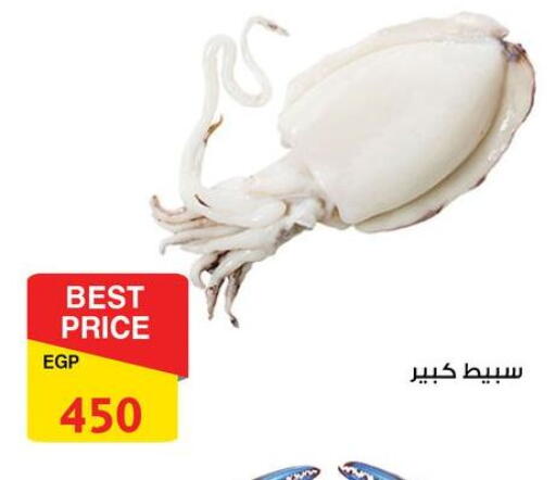 available at فتح الله in Egypt - القاهرة
