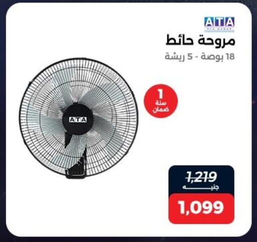 available at Raneen in Egypt - Cairo