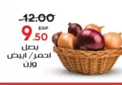 available at Galhom Market in Egypt - Cairo