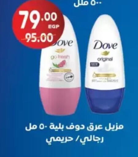 available at Galhom Market in Egypt - Cairo