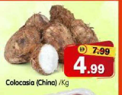 from China available at هايبر ماركت المدينة in الإمارات العربية المتحدة , الامارات - أبو ظبي