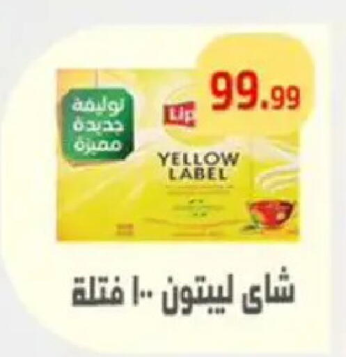 available at مؤسسة ايهاب البرنس in Egypt - القاهرة