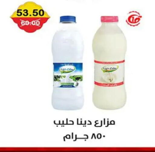 available at Smart Market in Egypt - Cairo