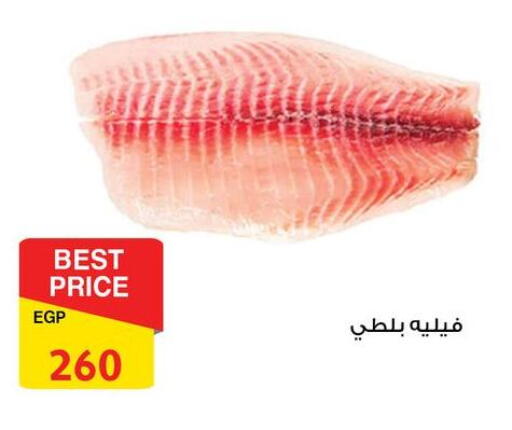 available at فتح الله in Egypt - القاهرة