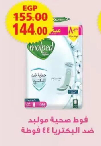 available at Galhom Market in Egypt - Cairo