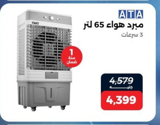 available at Raneen in Egypt - Cairo