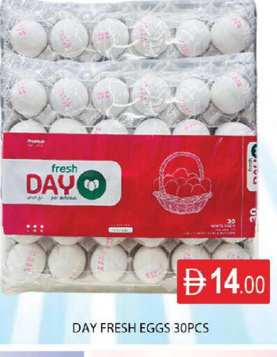 available at المدينة in الإمارات العربية المتحدة , الامارات - دبي