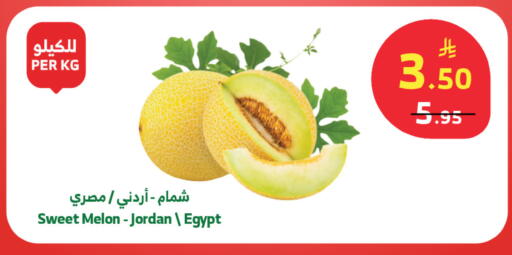 Melon from Jordan Egypt available at Al Raya in KSA, Saudi Arabia, Saudi - Tabuk