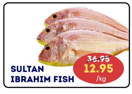 available at سيليكت ماركت in الإمارات العربية المتحدة , الامارات - أبو ظبي
